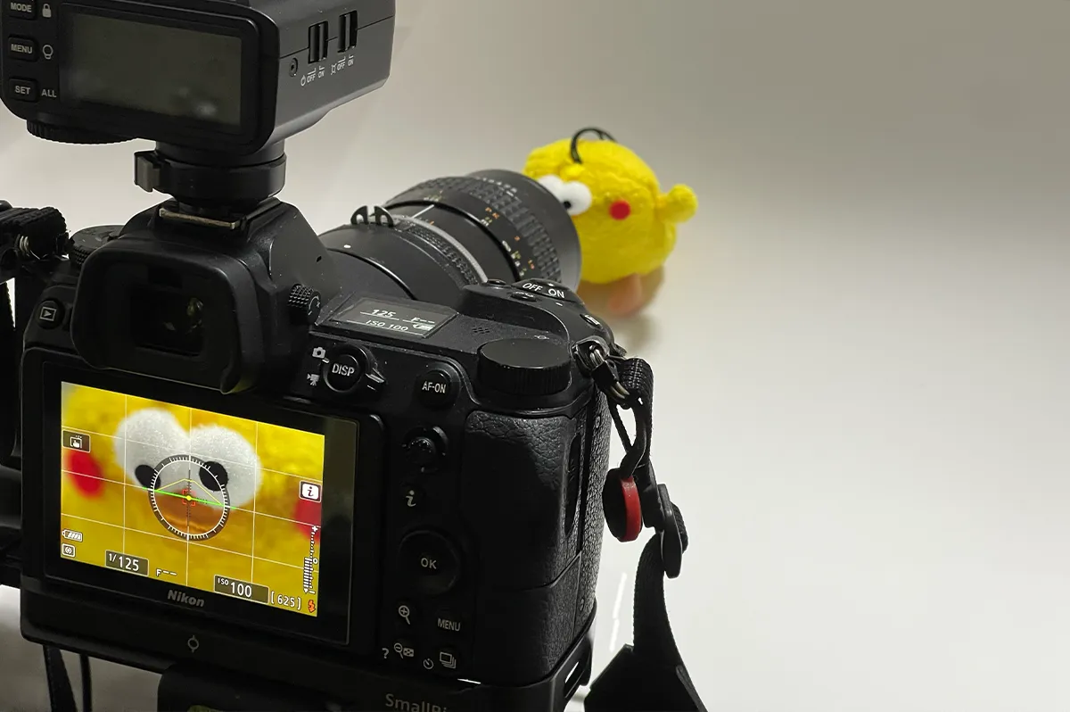 Nikon マクロレンズ Ai Nikon Ai Micro-NIKKOR 55mm F2.8 ◇レビュー◇ | デジタル試しうち